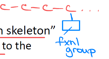 <p>Which functional group is present/attached to the carbon skeleton.</p>