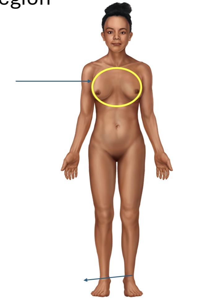 <p>Name the body part or region</p>