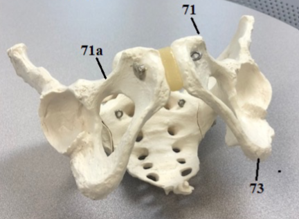 <p>Label The Structures</p>