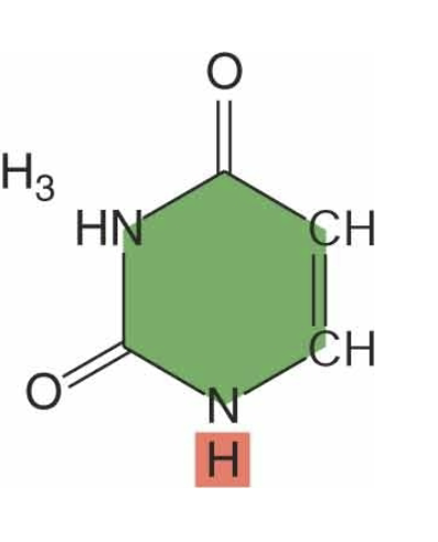<p>identify </p>