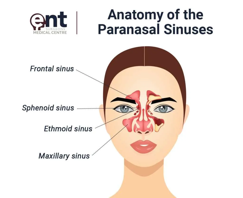 <p>Cavity within a bone</p>