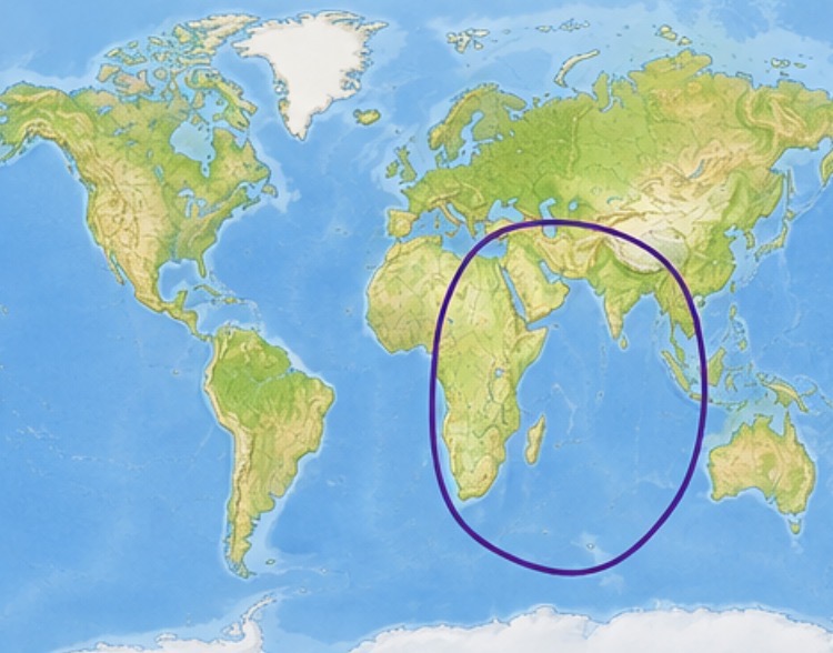 <p>Which ocean is this?</p>
