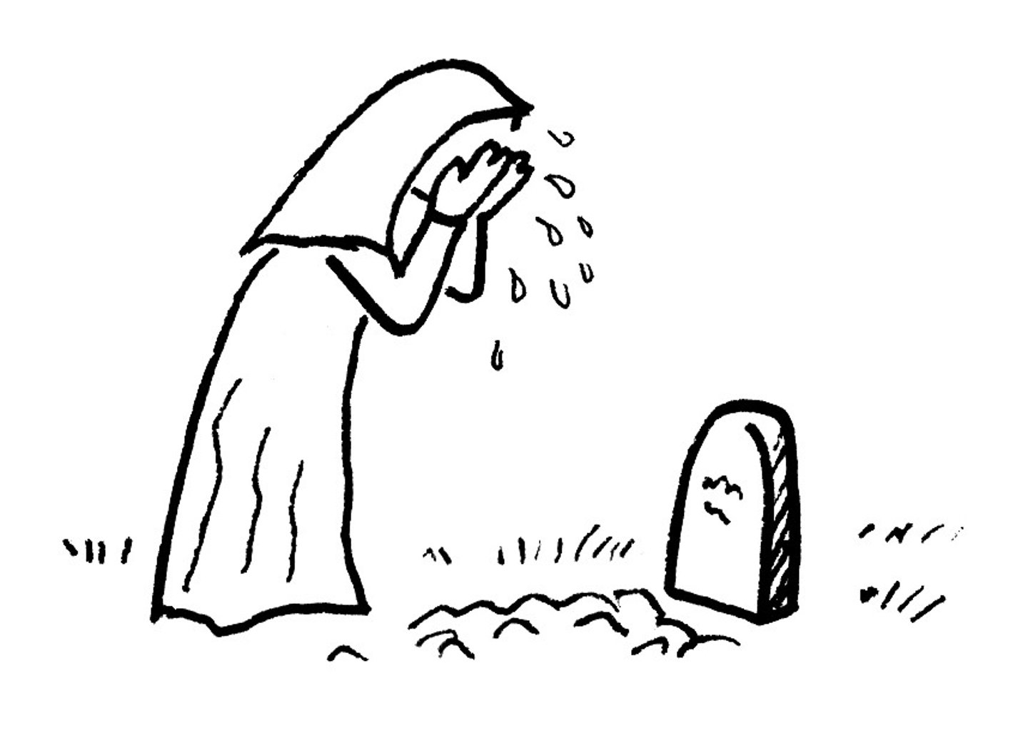 <p>sadness</p>