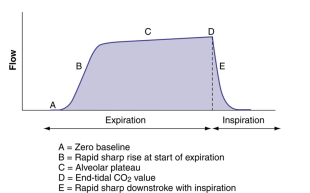 <p>Measurement of partial pressure CO2 exhaled</p><ul><li><p>normal 35-45mmHg</p></li></ul><ul><li><p>can be represented in waveform/capnogram</p></li><li><p>Change in shape —> disease</p></li><li><p>Change in number — pt deteriorating</p></li></ul><p></p>