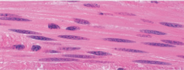 <p>Slide 46</p>