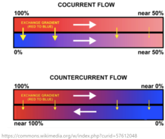 <p>concurrent flow</p>