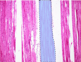 <p>What is the highlighted part</p>