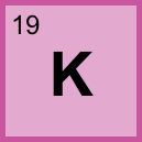 <p>19</p>