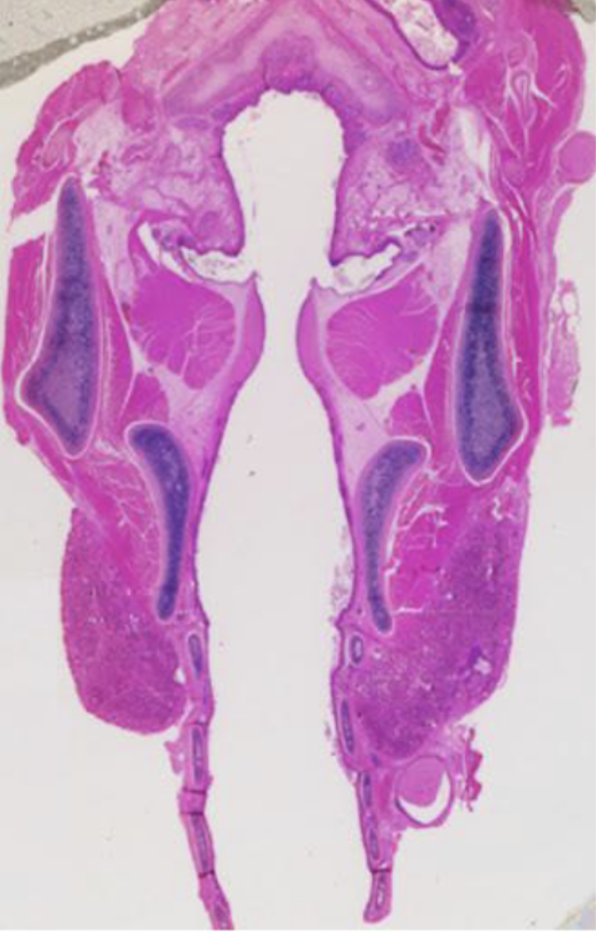 <p>What is this?</p>