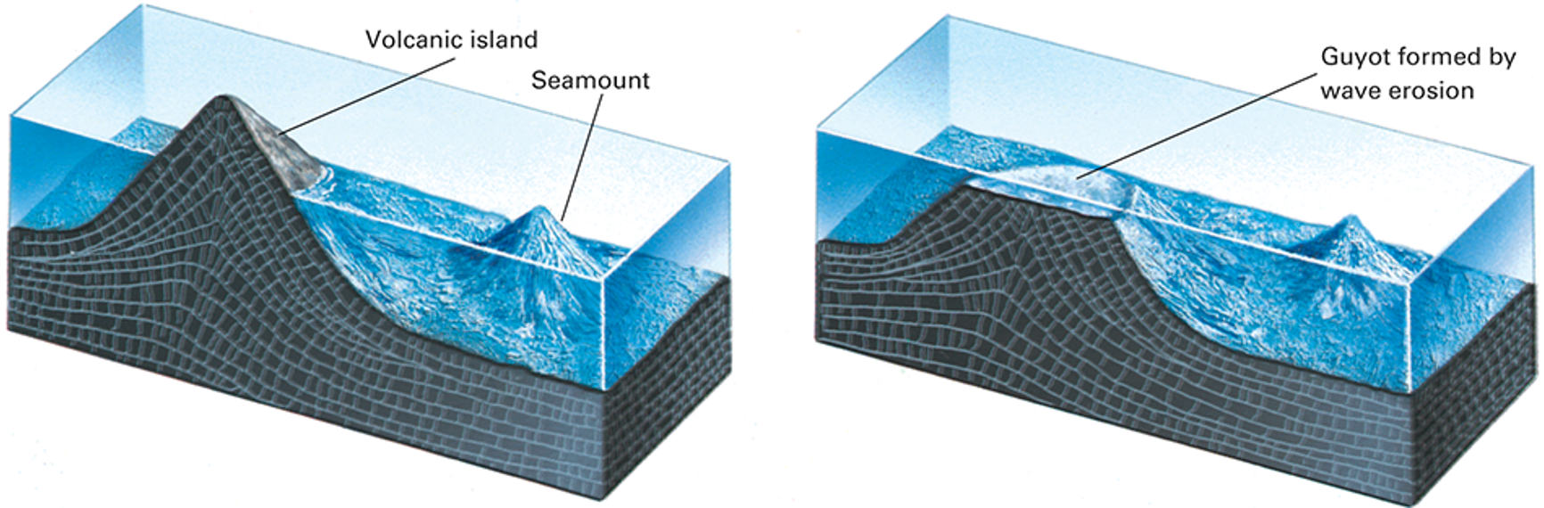 <p>what is happening in this photo?</p>