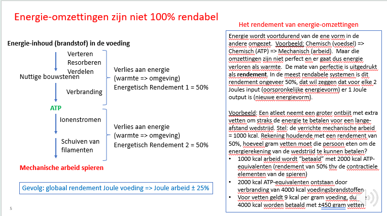<p><span>•1000 kcal arbeid wordt “betaald” met 2000 kcal ATP-equivalenten (rendement van 50% thv de contractiele elementen van de spieren)</span></p><p><span>•2000 kcal ATP-equivalenten ontstaan door verbranding van 4000 kcal voedingsbrandstoffen</span></p><p><span>•verbranding van 4000 kcal voedingsbrandstoffen</span></p><p><span>•Voor vetten geldt 9 kcal per gram voeding, dus de 4000 kcal worden betaald met ±450 gram vetten</span></p>