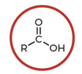 <p>what functional group is this? </p>