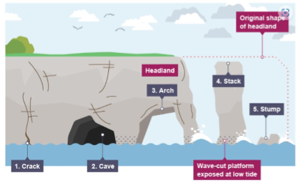 <p><strong>How do caves/arches/stacks/stumps form?</strong></p><ol><li><p>[ ] widened in the headland through HA and AB</p></li><li><p>Waves continue to [ ] away at the crack, opening up to form a [ ]</p></li><li><p>Cave becomes larger and eventually [ ] through the [ ] to form an [ ]</p></li><li><p>[ ] [ ] [ ] continually widens through further erosion</p></li><li><p>Arch [ ] becomes too heavy and [ ] into the sea, leaving a [ ]</p></li><li><p>The stack is [ ] at the [ ] until it collapses to form a [ ]</p></li></ol><p></p>