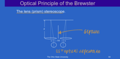 <p>What is the optical principle of the Brewster Stereoscope?</p>