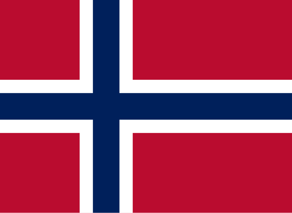 <p>Scandinavian Airlines </p>