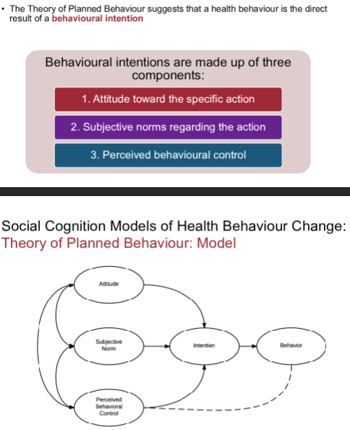 <p>Theory of planned behavior</p>