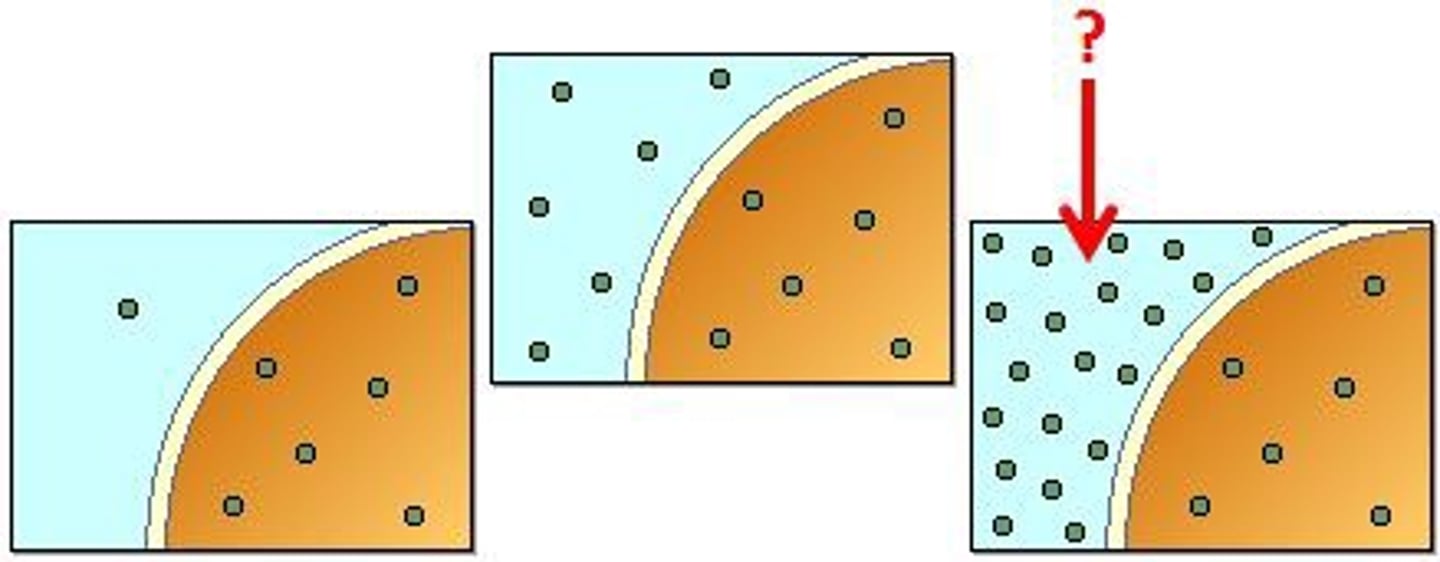 <p>A solution with a comparatively higher concentration of solutes compared to another.</p>