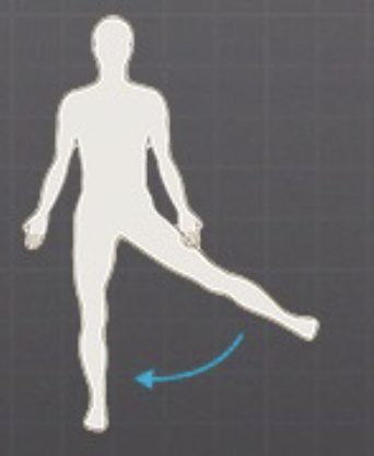 <p>moves a limb toward the midline</p>