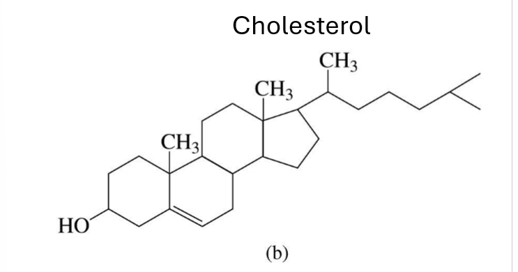 <p>Describe the structure of sterol lipids and the types</p>