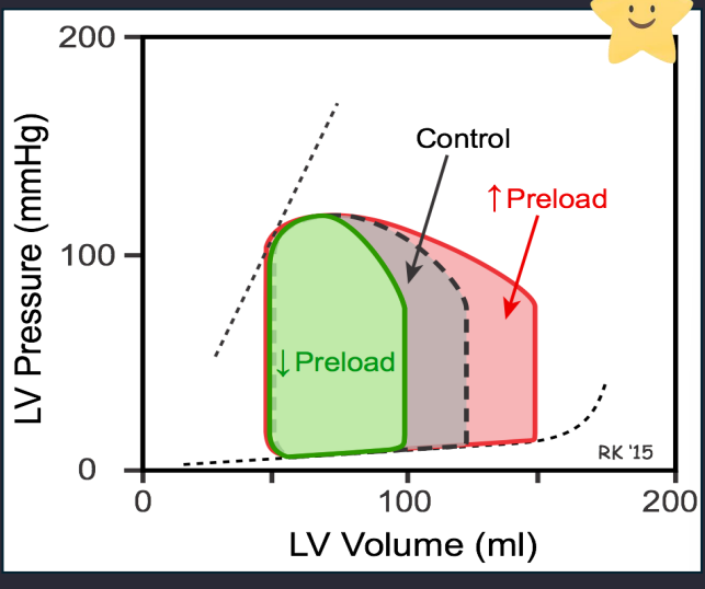 <p><span style="background-color: transparent; font-family: "Times New Roman", serif;"><strong>Increased Preload (EDV):</strong> More blood returns to the ventricle, increasing the volume at the end of diastole</span></p>