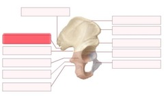 <p>What should go in the highlighted red blank?</p>