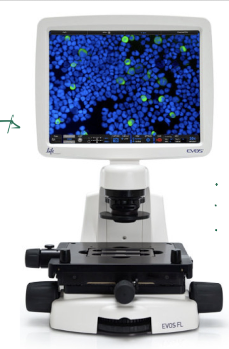 <p>ex. EVOS FL microscope </p>