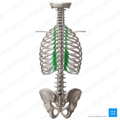 <p>What is this (in green)?</p>