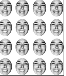 <p>brain's ability to rapidly extract summary statistical information (such as the average size, average facial expression, or overall "gist") from a group of similar objects, rather than processing each item individually</p>