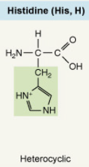 <p>Heterocyclic</p>