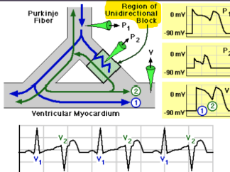 <p>What is a unidirectional block?</p>