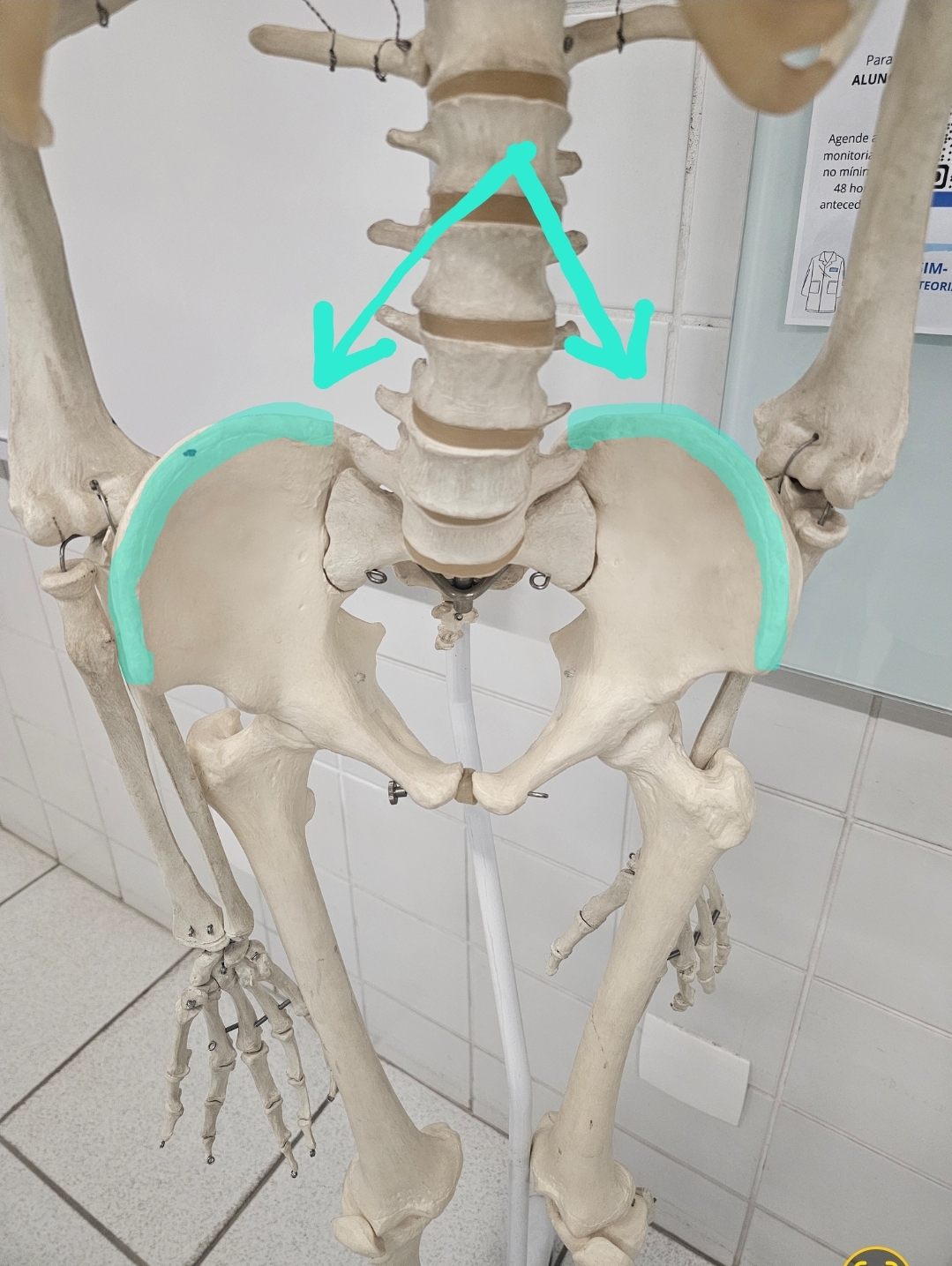 <p>Qual é o nome?</p>