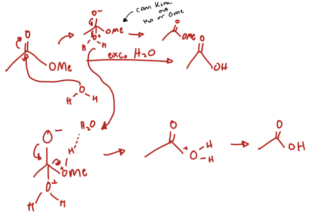 <p>Carboxylic Acid</p>
