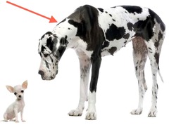 <p>Something that is very large and not small is _____.</p>
