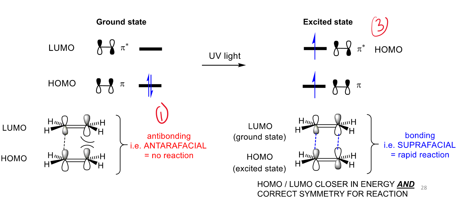 <p>photochemically.</p><p>It is showing:</p><ul><li><p><strong>one alkene that remained in the ground state</strong> (providing the LUMO), and</p></li><li><p><strong>a second alkene that absorbed UV light</strong> (providing the excited HOMO).</p></li></ul><p>So the LUMO hasn't disappeared—it belongs to the <strong>other reactant</strong> that never got excited.</p>