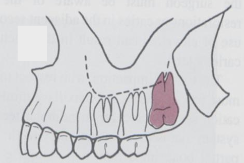 <p>what classification is this?</p>