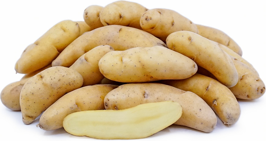 <p>Fingering Potatoes </p>