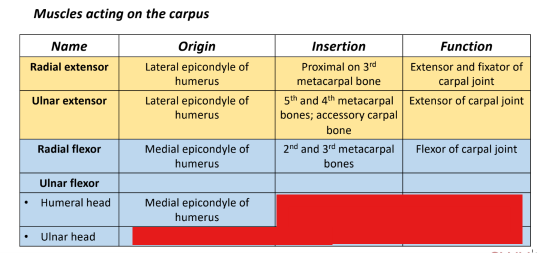<p>A. Medial epicondyle of humerus</p>