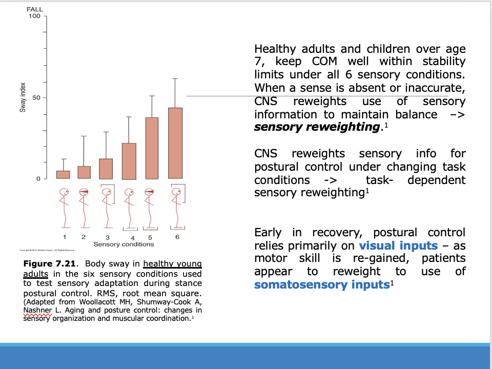 <p><span>Early recovery relies more on vision early on so we have to help them shift because somatosensory signals are faster</span></p>