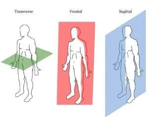 <p><span>Jason's leg was badly crushed in an accident and to save his life the surgeon had to amputate his leg below the knee. The primary horizontal direction of cut to perform the amputation was in the _ plane.</span></p>