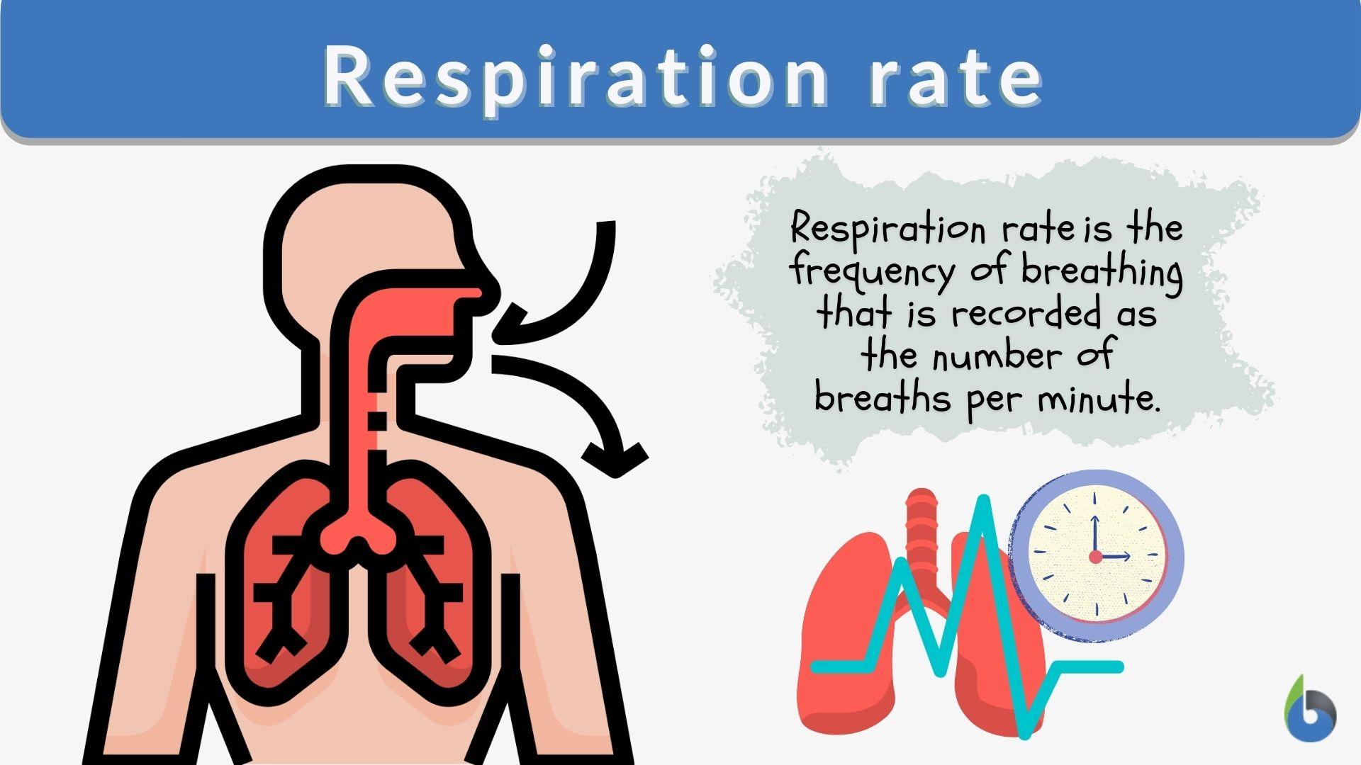 <p>respiratory rate - More precise/clinical than "hengitys" (breathing) — this is the actual measured number (breaths per minute)</p>