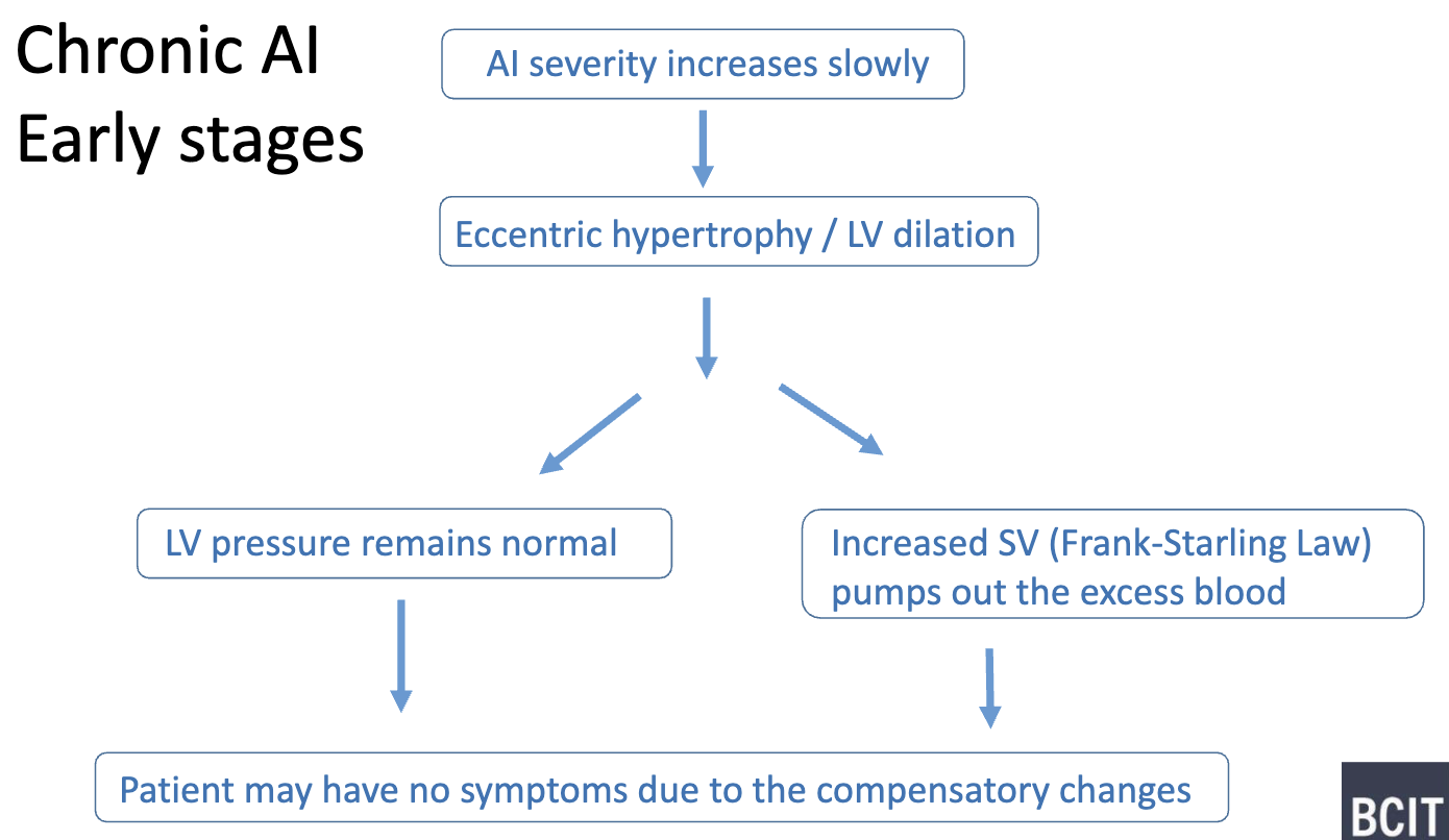 <ul><li><p>eccentric hypertrophy/ LA dilation also help reduce wall stress (LaPlace’s Law) </p></li><li><p>note: LV pressure may remain normal without changing SV too → patient asymptomatic </p></li><li><p>EF remain normal </p></li></ul><p></p>