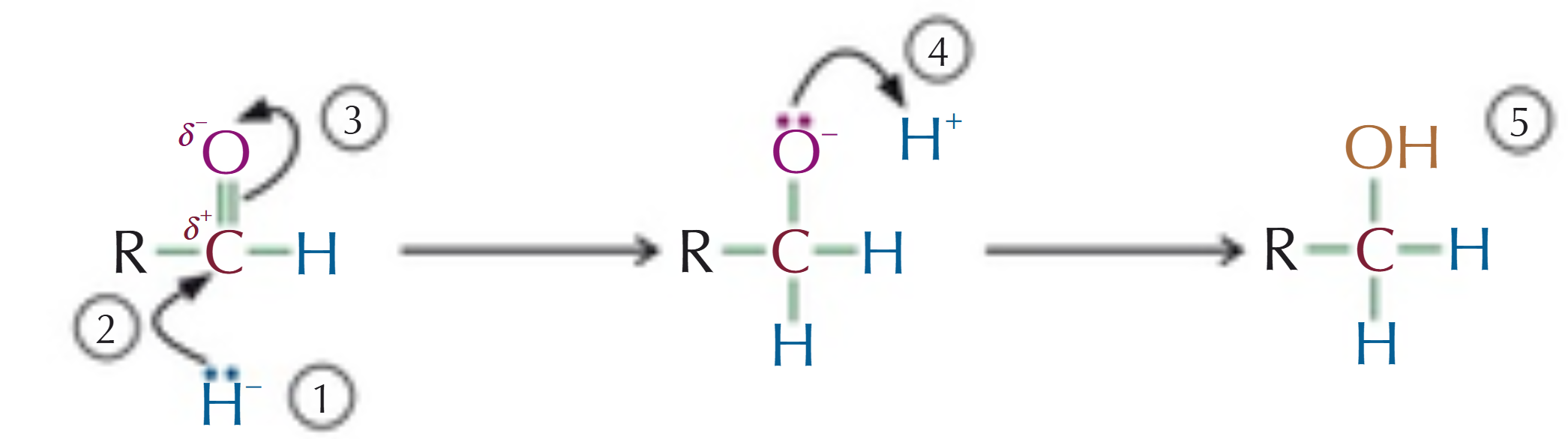 <p>Nucleophilic addition </p>