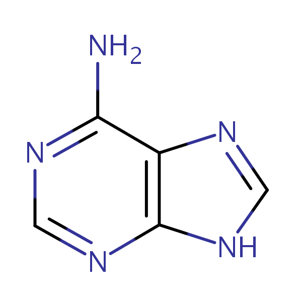 <p>what is this</p>