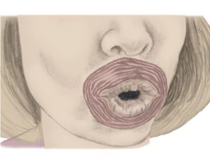 <p><strong>Seals mouth</strong> for swallowing; drinking from a straw; eating from a spoon</p>