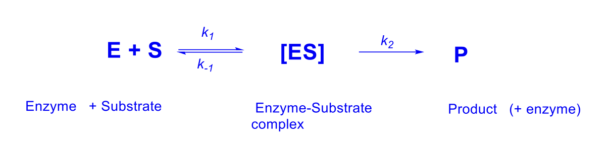 <p>Equilibrium constant and measure of an affinity of a substrate for an enzyme </p><p>K<sub>M</sub>~ k<sub>-1</sub>/k<sub>1</sub></p>