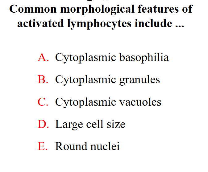<p>- large cell size and cytoplasmic basophillia</p><p>.</p><p>- baso means blue on staining (look on slide 44)</p><p>- its like the cell wall is trying to spread beyond its confines but weve got a ruffing up because theres too much cytoplasm and it gives basophillia</p>