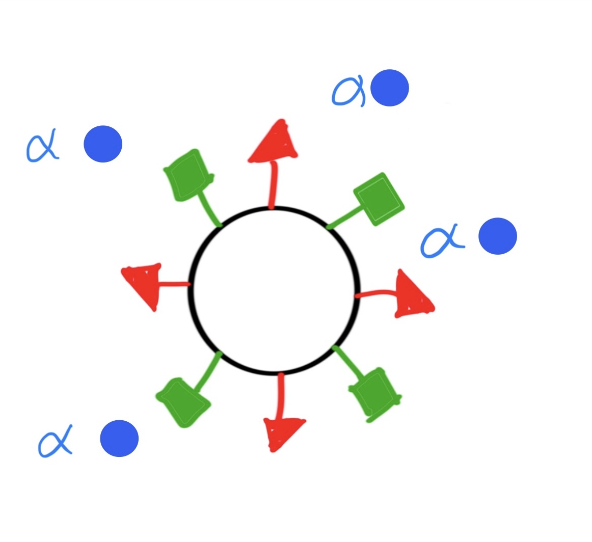 <p>A+ blood can donate to __?</p>