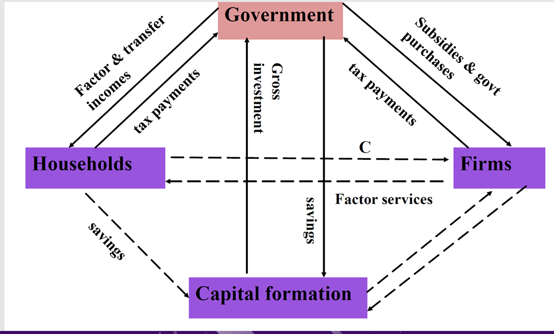 <ul><li><p>added sector means that the gov tax firms and households</p></li><li><p>this income is then spent on subsidies to firms and wages and transfer payments to households (workers in public sector and pensions, benefits etc)</p></li><li><p>Money that is not spent by government goes into savings which then contribute to capital formations (such as hospitals, roads etc)</p></li></ul><p></p>