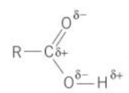 <p>- Occurs in covalent bond between 2 atoms with</p><p>different electronegativities, so unequal sharing of</p><p>electrons</p><p>- Electrons are more attracted to more electronegative atom.</p><p>- The less electronegative element becomes δ+ The</p><p>more becomes δ-</p><p>- Bigger difference in electronegativity = more polar</p><p>- Bonds must be on one side rather than symmetrical</p><p>- E.g. H δ₊ -- Cl δ</p>