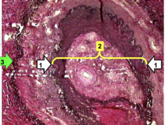 <p>2</p>
